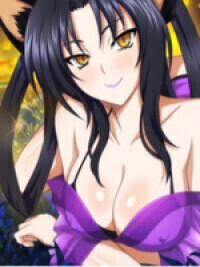 Highschool DxD: A New Opportunity